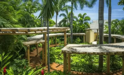 Villa Caleta Punta Mita