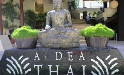 Aldea Thai B36