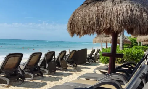 Elements Garden House 21