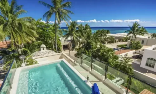 Nikki House PlayaCar