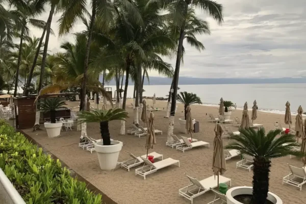 Icon Vallarta T3-15